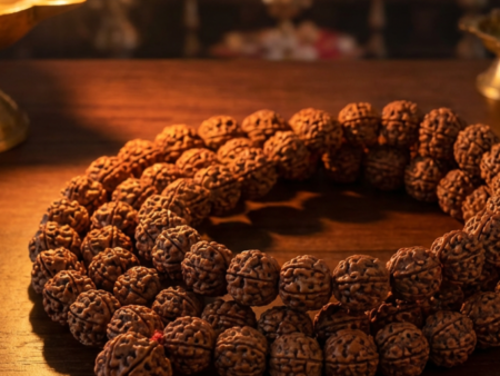108 Beads 5 Mukhi Rudraksha Mala